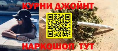 спиды Новозыбков
