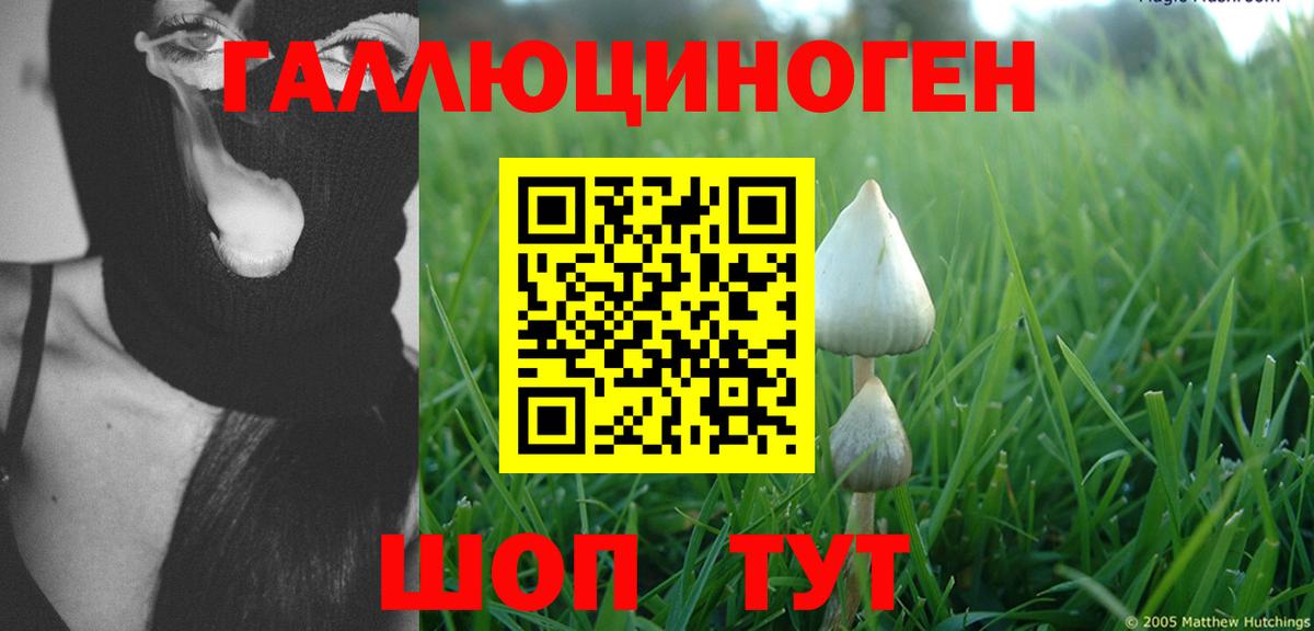 Галлюциногенные грибы мухоморы  Вход с VPN  Строитель  Галлюциногенные грибы прущие грибы 